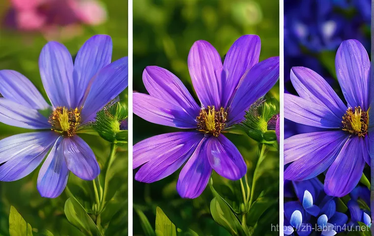 공인노무사 직무 만족도 조사 - Here are three image prompts in English, inspired by the provided text: